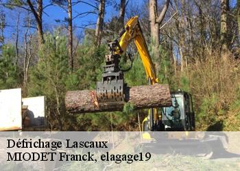 Défrichage  lascaux-19130 MIODET Franck, elagage19