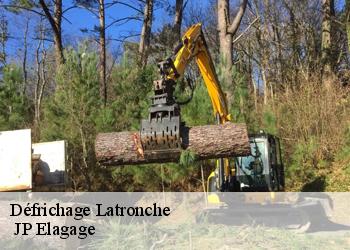 Défrichage latronche-19160 JP Elagage