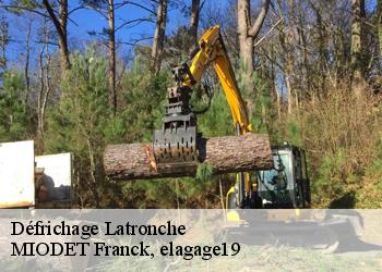 Défrichage  latronche-19160 MIODET Franck, elagage19