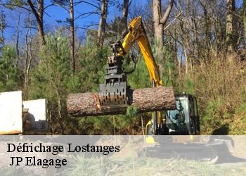 Défrichage  lostanges-19500  JP Elagage