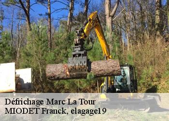 Défrichage  marc-la-tour-19150 MIODET Franck, elagage19