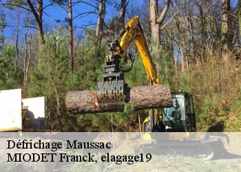 Défrichage  maussac-19250 MIODET Franck, elagage19