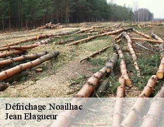 Défrichage noailhac-19500 Jean Elagueur