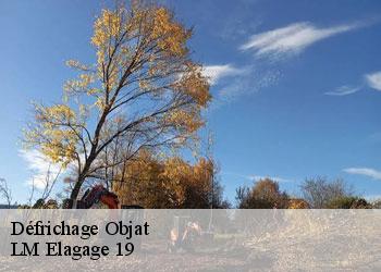 Défrichage objat-19130 LM Elagage 19