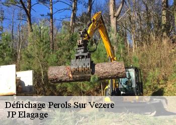 Défrichage perols-sur-vezere-19170 JP Elagage