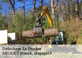 Défrichage  le-pescher-19190 MIODET Franck, elagage19