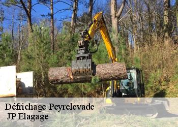 Défrichage peyrelevade-19290 JP Elagage