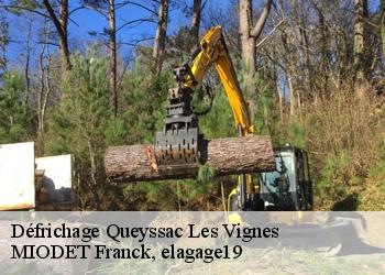 Défrichage  queyssac-les-vignes-19120 MIODET Franck, elagage19