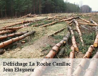 Défrichage la-roche-canillac-19320 Jean Elagueur