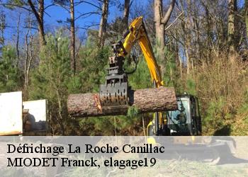 Défrichage  la-roche-canillac-19320 MIODET Franck, elagage19
