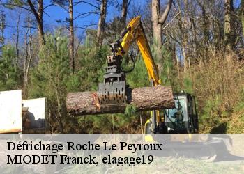 Défrichage  roche-le-peyroux-19160 MIODET Franck, elagage19