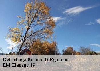 Défrichage rosiers-d-egletons-19300 LM Elagage 19