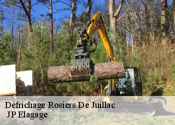 Défrichage rosiers-de-juillac-19350 JP Elagage