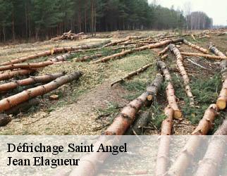 Défrichage saint-angel-19200 Jean Elagueur