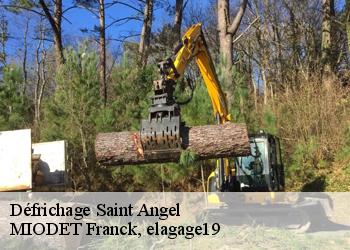 Défrichage  saint-angel-19200 MIODET Franck, elagage19