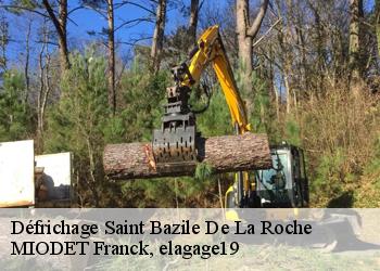 Défrichage  saint-bazile-de-la-roche-19320 MIODET Franck, elagage19