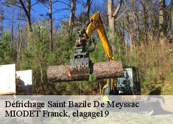 Défrichage  saint-bazile-de-meyssac-19500 MIODET Franck, elagage19