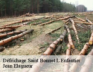 Défrichage saint-bonnet-l-enfantier-19410 Jean Elagueur