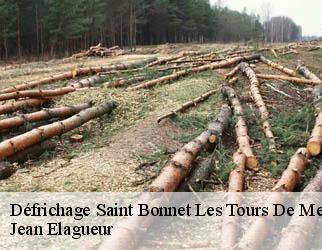 Défrichage saint-bonnet-les-tours-de-merle-19430 Jean Elagueur