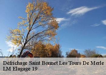 Défrichage saint-bonnet-les-tours-de-merle-19430 LM Elagage 19