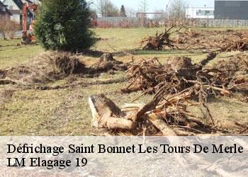 Défrichage 19430