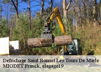 Défrichage  saint-bonnet-les-tours-de-merle-19430 MIODET Franck, elagage19