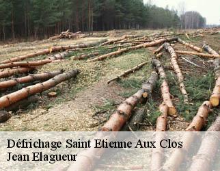 Défrichage  saint-etienne-aux-clos-19200 Jean Elagueur