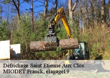 Défrichage  saint-etienne-aux-clos-19200 MIODET Franck, elagage19