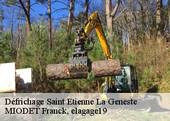 Défrichage  saint-etienne-la-geneste-19160 MIODET Franck, elagage19