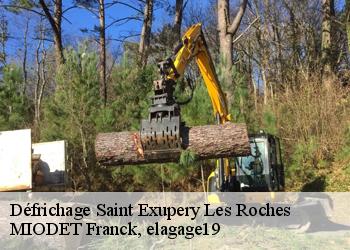 Défrichage  saint-exupery-les-roches-19200 MIODET Franck, elagage19