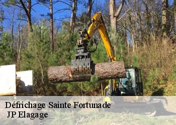 Défrichage sainte-fortunade-19490 JP Elagage