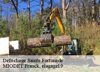 Défrichage  sainte-fortunade-19490 MIODET Franck, elagage19