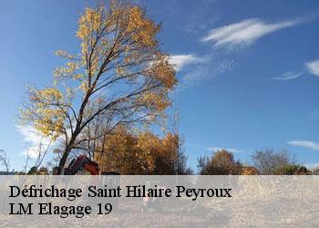 Défrichage saint-hilaire-peyroux-19560 LM Elagage 19