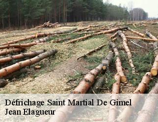 Défrichage saint-martial-de-gimel-19150 Jean Elagueur