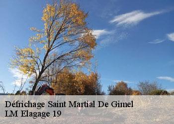 Défrichage saint-martial-de-gimel-19150 LM Elagage 19