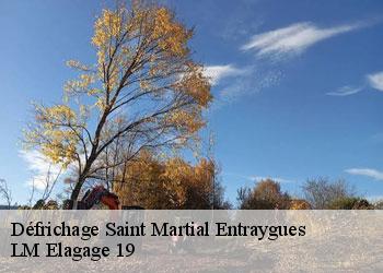 Défrichage saint-martial-entraygues-19400 LM Elagage 19