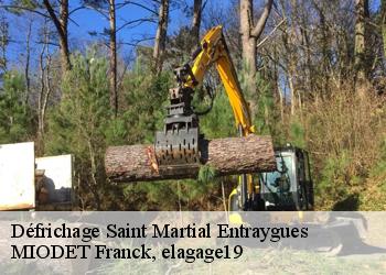 Défrichage  saint-martial-entraygues-19400 MIODET Franck, elagage19