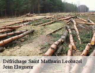 Défrichage saint-mathurin-leobazel-19430 Jean Elagueur