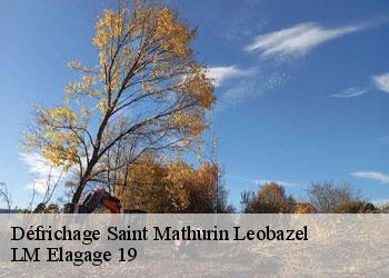 Défrichage saint-mathurin-leobazel-19430 LM Elagage 19