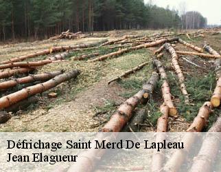 Défrichage saint-merd-de-lapleau-19320 Jean Elagueur
