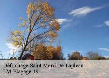 Défrichage saint-merd-de-lapleau-19320 LM Elagage 19