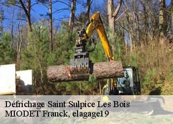 Défrichage  saint-sulpice-les-bois-19250 MIODET Franck, elagage19