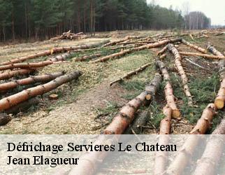 Défrichage servieres-le-chateau-19220 Jean Elagueur