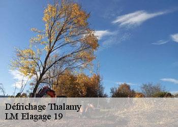Défrichage thalamy-19200 LM Elagage 19