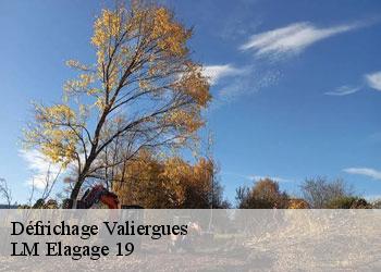 Défrichage valiergues-19200 LM Elagage 19