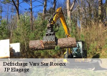 Défrichage  vars-sur-roseix-19130  JP Elagage