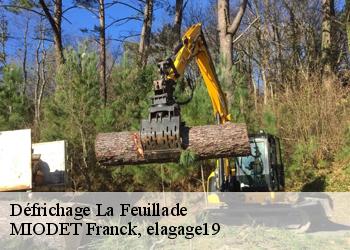 Défrichage  la-feuillade-19600 MIODET Franck, elagage19