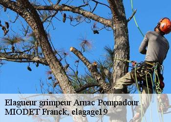 Elagueur grimpeur  arnac-pompadour-19230 MIODET Franck, elagage19