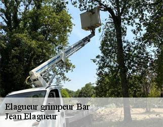 Elagueur grimpeur bar-19800 Jean Elagueur