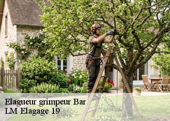 Elagueur grimpeur 19800